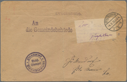 Deutsches Reich - Lokalausgaben 1918/23: DIPPOLDISWALDE: 1923, Hektographierter Gebührenzettel Mit H - Brieven En Documenten