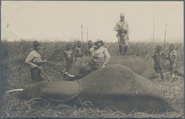 Deutsch-Ostafrika - Ganzsachen: 1908, Private Ganzsachenpostkarte Wst. 2½ Heller Kolonialschiffszeic - Africa Orientale Tedesca