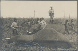 Deutsch-Ostafrika - Ganzsachen: 1908, Fünf Verschiedene Ungebrauchte Private Ganzsachenpostkarten Mi - German East Africa