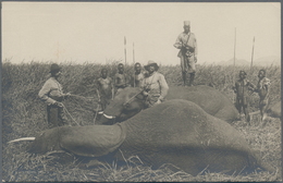 Deutsch-Ostafrika - Ganzsachen: 1908, Fünf Verschiedene Ungebrauchte Private Ganzsachenpostkarten Mi - Deutsch-Ostafrika