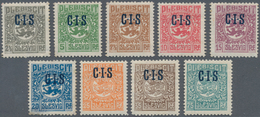 Deutsche Abstimmungsgebiete: Schleswig - Dienstmarken: 1920, CIS-Aufdrucke, 2½ Pfg. Bis 35 Pfg. Und - Otros & Sin Clasificación