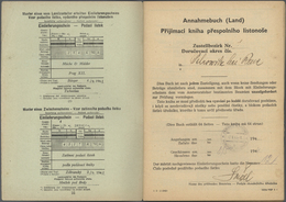 Dt. Besetzung II WK - Böhmen Und Mähren: 1944, Posteinlieferungsbuch Mit 27 Frankierten Seiten, Dabe - Occupation 1938-45