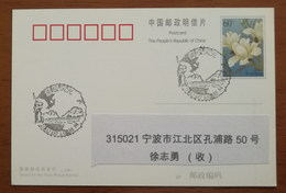 Snow Mountain,China 2002 Yangzhou Post Antarctic Landscape Stamps Issue 1st Day Commemorative PMK Used On Card - Other