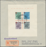 Französische Zone - Rheinland Pfalz: 1949, Rot Kreuz-Block, Type II, Zentrisch Gestempelt LUDWIGSHAF - Altri & Non Classificati