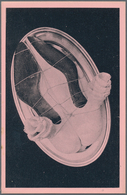 Ansichtskarten: Künstler / Artists: OPPENHEIM, Meret (1913-1985), Deutsch-schweizerische Surrealisti - Zonder Classificatie
