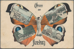 Ansichtskarten: Schleswig-Holstein: FLENSBURG (alte PLZ 2390), Kolorierte SCHMETTERLING-Mehrbildkart - Other & Unclassified