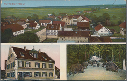 Ansichtskarten: Bayern: MÜNCHEN THALRIRCHEN-OBERSENDLING-FORSTENRIED, über 120 Historische Ansichtsk - Other & Unclassified
