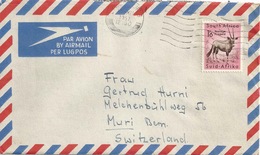 Airmail  Lydenburg - Muri B.Bern       1957 - Luftpost