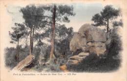 77 - Forêt De FONTAINEBLEAU - Rochers Du Mont Ussy - Fontainebleau