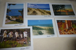 LOT DE 6 CARTES ...VISAGE DES LANDES...PHOTOS JACQUES VIGNES - 5 - 99 Cartes