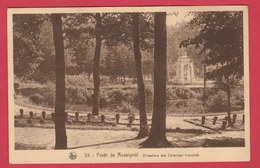 Rossignol - Forêt - Cimetière Des Coloniaux Français ( Voir Verso ) - Tintigny