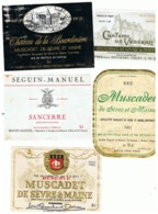 Lot De 5 étiquettes De Vin De Loire - Muscadet Et Sancerre -(b274) - Andere & Zonder Classificatie