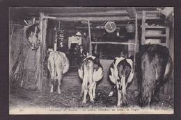 CPA Ferme Fermes à La Campagne Métier Circulé CMCB Bretagne N° 481 Vaches - Boerderijen