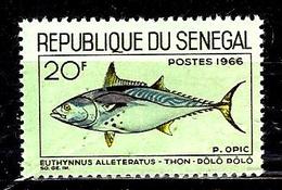 SENEGAL 271** 20f Polychrome Sur Verdâtre Poissons Thon - Senegal (1960-...)