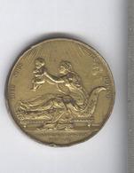 Médaille De Naissance De Henri V Dorée - Dien Nous L'a Donné - 29 Septembre 1820 - Graveur Gayrard - Monarquía / Nobleza
