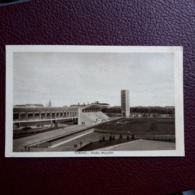 Cpa Torino Stade Mussolini Turin Football - Stades & Structures Sportives