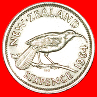 · DRESSED QUEEN (1956-1965): NEW ZEALAND ★ 6 PENCE 1964! LOW START ★ NO RESERVE! - New Zealand