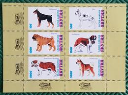 RUSSIE-Ex URSS, Chiens, Chien, Dog, Dogs, Perro, Perros. Asia 97  Feuillet 6 Valeurs émis En 1997 ** MNH (8) - Honden