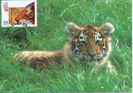 MACAU 1998 LUNAR YEAR OF THE TIGER MAXIMUN CARD, WWF CARD - Cartes-maximum