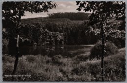 Bad Laasphe Feudingen - S/w Weidelbacher Weiher - Bad Laasphe