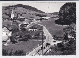 La Roche, Troupeau De Vaches Venant De La Route De Montsofloz. Format 10 X 15 - La Roche