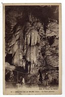 Cpa N° 13 Grotts De LA BALME Le Saule Pleureur - La Balme-les-Grottes