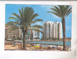 CPM  TORREVIEJA, PLAYA DEL CURA (voir Timbre) - Alicante