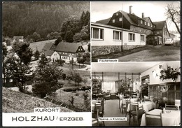 D3183 - Holzhau Fischerbaude Kaffegarten Gaststätte - Bild Und Heimat Reichenbach - Holzhau
