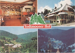 AK Todtmoos Schwarzwald Hotel Gasthof Todtmooser Hof Gersbach Happach Schönau Bernau St Sankt Basien Zell Im Wiesenthal - Todtmoos