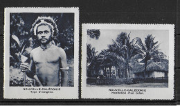 NOUVELLE CALEDONIE - 2 VIGNETTES GOMMEES 60 X 75 Mm "RICHESSES COLONIALES" ! - Altri & Non Classificati