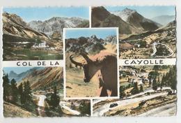 04 Basses Alpes Col De La Cayolle Multi Vues - Other & Unclassified