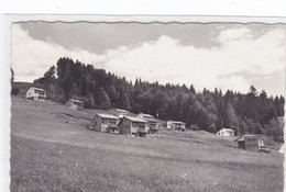 La Roche, Colonie De Vacances De Monsoflo - La Roche