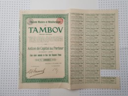 Sté Miniere Et Metallurgique De Tambov - Oil