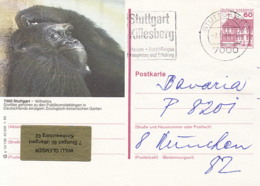 MAMMALS, GORILLA, STUTTGART ZOO, CASTLE, PC STATIONERY, ENTIER POSTAL, 1985, GERMANY - Gorilas