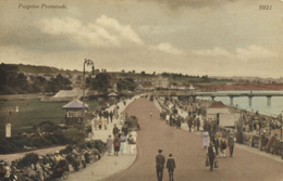 DEVON - PAIGNTON - PROMENADE Dv265 - Paignton