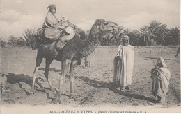 AK Scènes Types Jeune Fillettes Chameau Mauresque Bédouine Arabe Arabien Afrique Africa Vintage Tunisie Algerie Maroc ? - Afrique