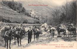 Non Classés.         66         Muletiers Transporteurs De Bois Et Leurs ânes     (voir Scan) - Autres & Non Classés