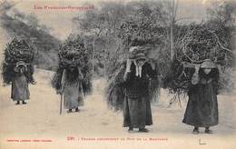 Non Classés.         66         Femmes Descendant Le Bois De La Montagne        (voir Scan) - Other & Unclassified