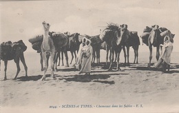 AK Scènes Types Chameaux Dans Les Sables Mauresque Bédouine Arabe Arabien Afrique Africa Vintage Tunisie Algerie Maroc ? - Afrique