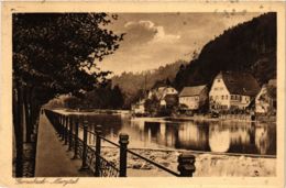 CPA AK Gernsbach- Blick Auf Die Insel GERMANY (946686) - Gernsbach