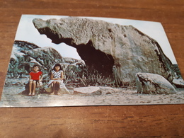 Postcard - Nederland Antillen, Saint-Martin      (28796) - Sint-Marteen