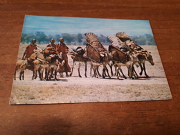 Postcard - Kenya, Masai    (V 34410) - Kenya