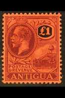 1921-29  £1 Purple & Black/red, SG 61, Very Fine Mint For More Images, Please Visit Http://www.sandafayre.com/itemdetail - Sonstige & Ohne Zuordnung