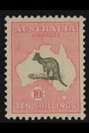 1929-30  10s Grey & Pink Kangaroo, SG 112, Superb Mint, Very Nice Centring, Very Fresh, A Lovely Stamp. For More Images, - Otros & Sin Clasificación