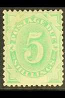 POSTAGE DUES  1902 5s Emerald Green, White Space At Foot, SG D8, Very Fine Mint. For More Images, Please Visit Http://ww - Altri & Non Classificati
