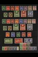 TRIPOLITANIA  1948-1950. VERY FINE MINT COMPLETE COLLECTION. An Attractive Collection Of Complete Sets Including Postage - Afrique Orientale Italienne