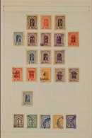 LOCAL POST STAMPS - RANDERS  1885-89. MINT & USED COLLECTION On Album Pages With Good Coverage Of These Issues & Include - Other & Unclassified