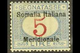 SOMALIA  POSTAGE DUE 1906 5L Magenta & Blue "Somalia Italiana Meridionale" Overprint (Sassone 10, SG D26), Fine Mint, Ex - Autres & Non Classés