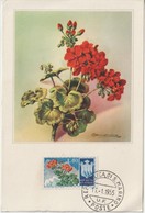 Saint Marin Carte Maximum Fleurs 1953 Géraniums 381 - Brieven En Documenten