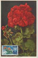 Saint Marin Carte Maximum Fleurs 1953 Géraniums 381 - Storia Postale